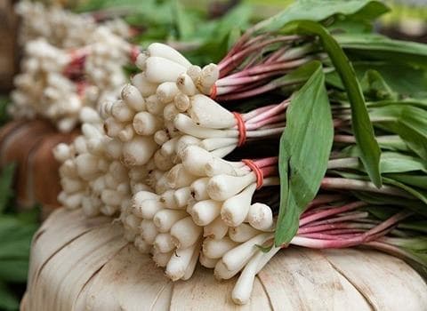 تصویر 4 از سیر سبز چاشنی طبیعی و پر خاصیت